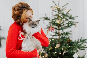 pexels karola g 5468399 1 1